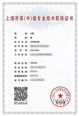職稱(chēng)證書(shū)丟了怎么辦？手把手教你申領(lǐng)上海電子證書(shū)
